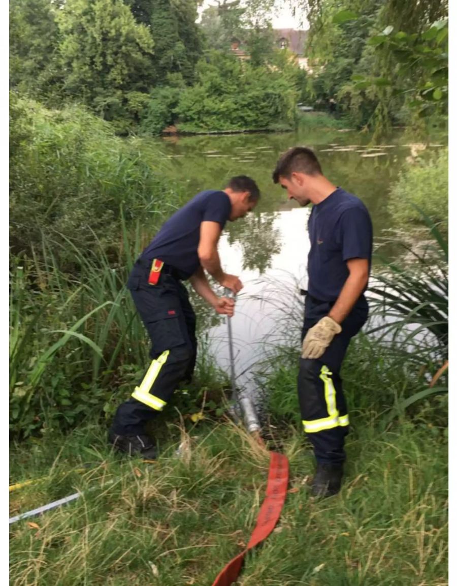 Die Feuerwehr ist kurzum angerückt und hat einen 150 Meter langen Schlauch gelegt.