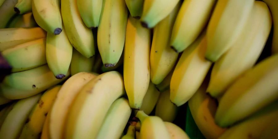 Bananen liegen in einer Kiste in einem Supermarkt.