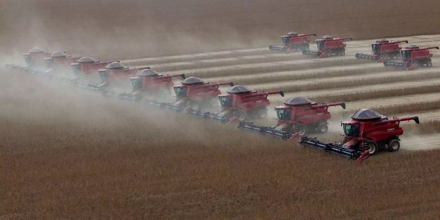 China reagiert mit Vergeltungszöllen auf US-Landwirtschaftsprodukte wie Sojabohnen.