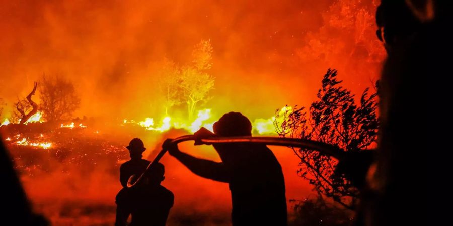 Algarve, Waldbrand: Feuerwehrmänner begeben sich in die Hitze des Gefechts mit den Flammen.