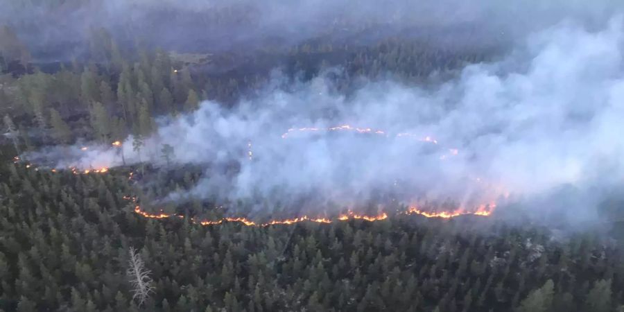 In Schweden brennen ganze Waldgebiete.