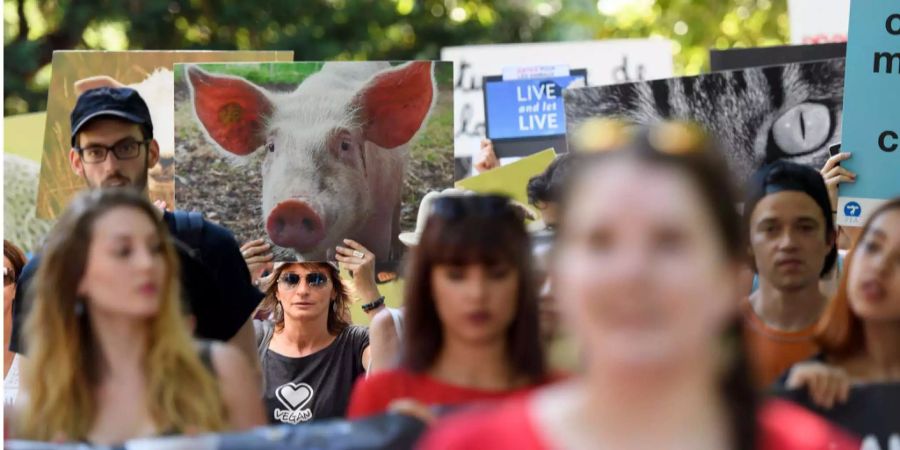 Vielen Tierschützern gehen die Massnahmen noch zu wenig weit.