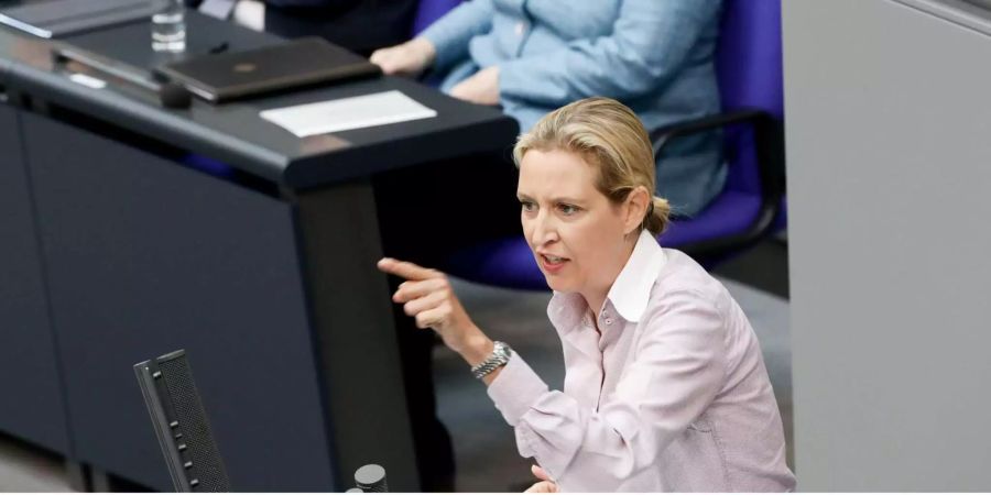 Alice Weidel wetterte gegen die Einwanderungspolitik der Bundesregierung.