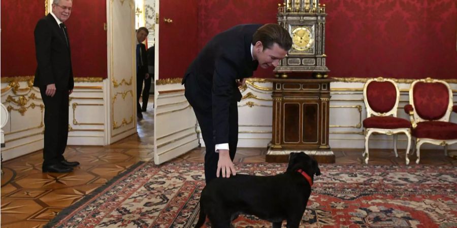 Kanzler Sebastian Kurz begrüsst «First Dog» Kita