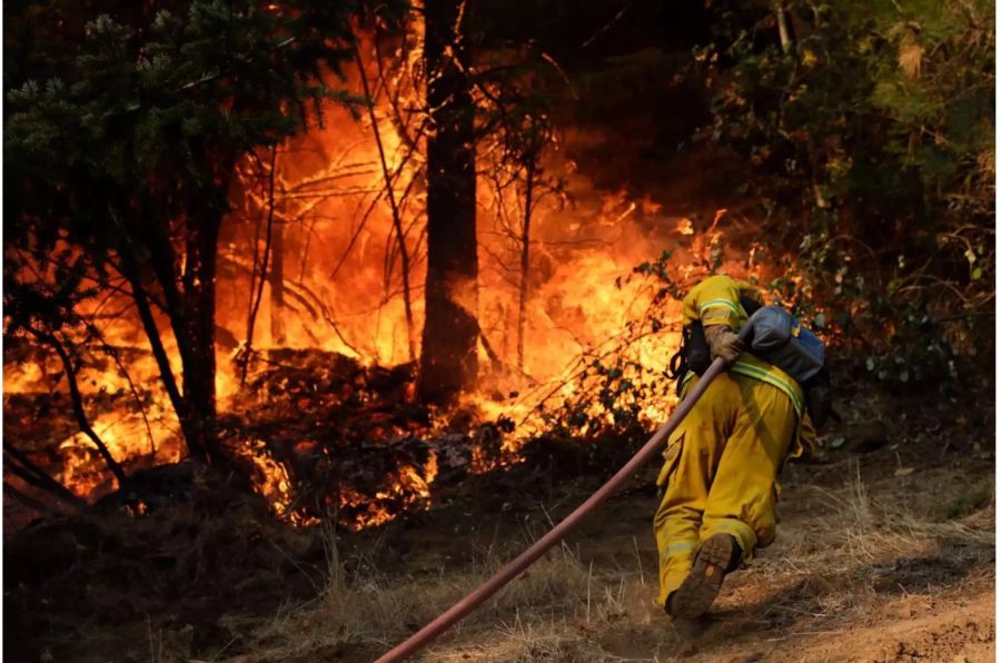 Starke Winde tragen das Feuer schnell weiter.