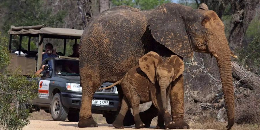 In Simbabwe ist die politische Lage eskaliert.