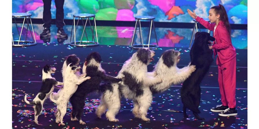 «Das Supertalent»: Gegen den vereinten Jö-Effekt von Hunden und einem Kind konnten auch die gewagtesten Schweizer Schwünge nichts ausrichten.