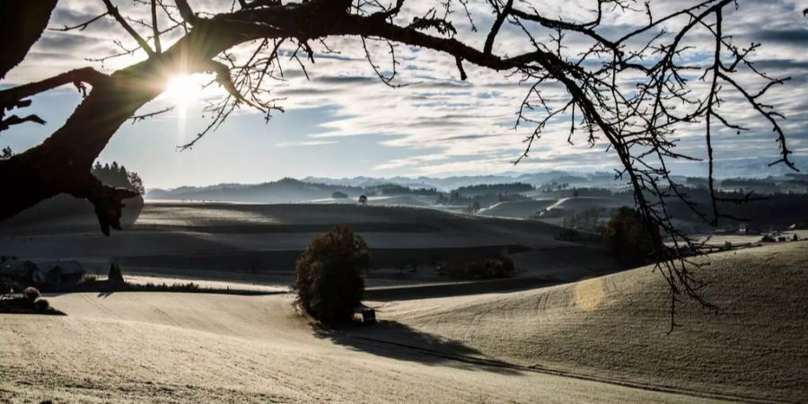 Das Emmental mit Frost.