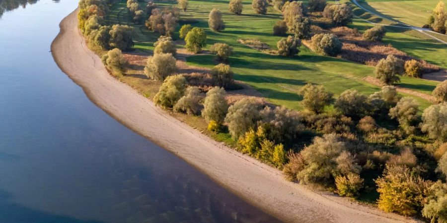 Die Niedrigwasser führende Donau an der Mühlhamer Schleife. (Symbolbild)
