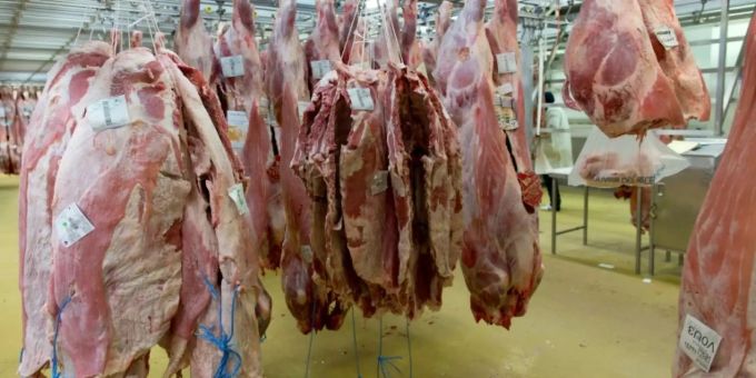 150 Kilo Verdorbenes Rindfleisch Aus Polen In Frankreich Verkauft