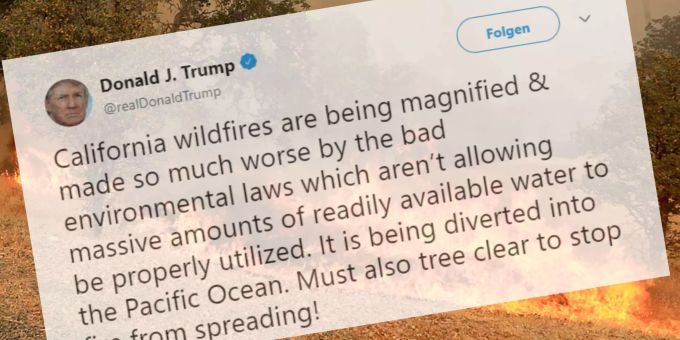 Trumps Erkenntnis - Waldbrandursache: Zu wenig Wasser, zu viele Bäume