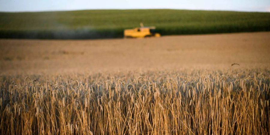 Auch die Schweizer Landwirtschaft wird durch das Jefta-Abkommen unter Druck geraten.