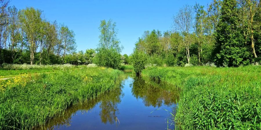 Von dem Wasserentnahmeverbot im Thurgau sind vor allem kleinere Flüsse und Bäche betroffen.