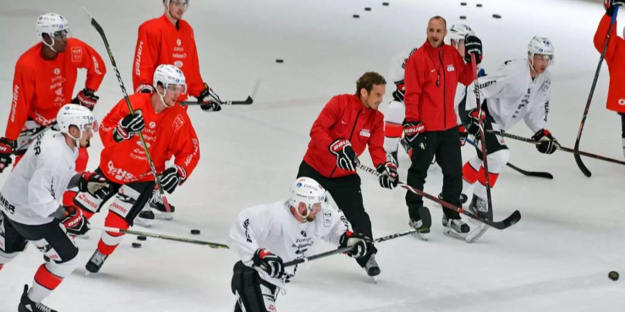 Am Montag fand das erste Training mit den NHL-Stars statt.