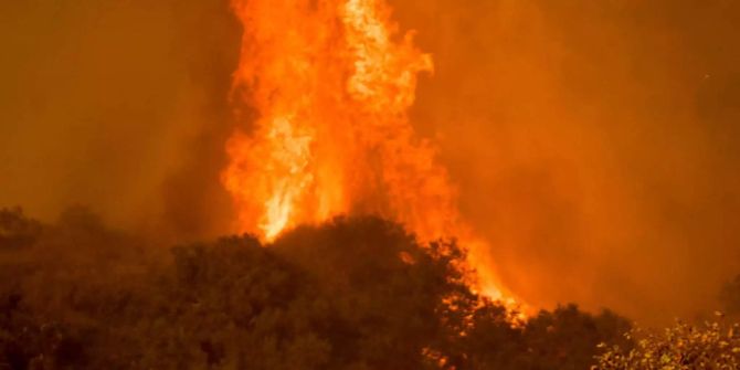 Flächenbrand Waldbrand