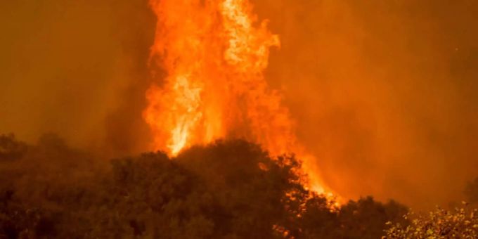 Hitzewelle Pakistan - Feuer in einem der grössten Pinienwälder