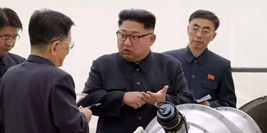 Nordkoreas Diktator Kim Jong Un