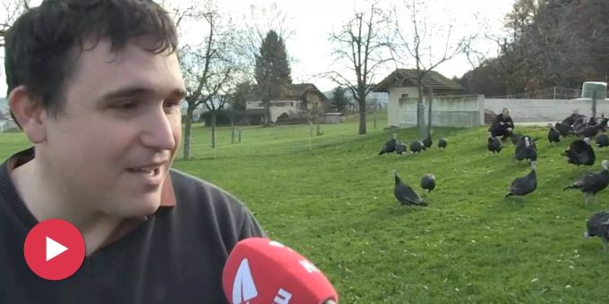 Thanksgiving-Besuch in Gossau SG - «Meine Truthähne sind kugelrund und passen in jeden Backofen»