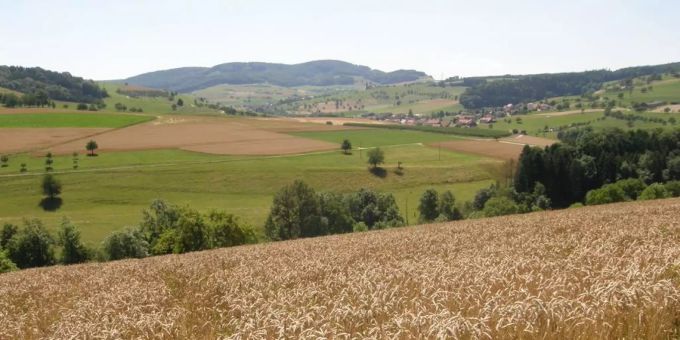 Eine Landschaft in Mettauertal. Gemeinde Mettauertal