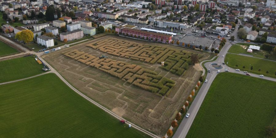 Maislabyrinth Steffisburg