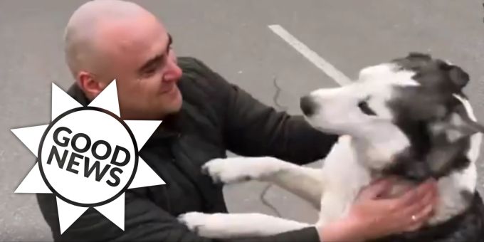 Good News - Im Ukraine-Krieg: Besitzer wird mit Hund wiedervereint