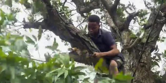 Ein Mann schneidet Äste von einem Baum, um Stromleitungen freizulegen, während er sich darauf vorbereitet, dass der tropische Wirbelsturm «Batsirai» Zentral-Madagaskar erreicht. Foto: Uncredited/AP/dpa Ein Mann schneidet Äste von einem Baum, um Stromleitungen freizulegen, während er sich darauf vorbereitet, dass der tropische Wirbelsturm «Batsirai» Zentral-Madagaskar erreicht. Foto: Uncredited/AP/dpa