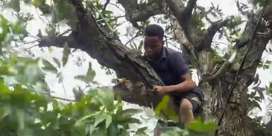 Ein Mann schneidet Äste von einem Baum, um Stromleitungen freizulegen, während er sich darauf vorbereitet, dass der tropische Wirbelsturm «Batsirai» Zentral-Madagaskar erreicht. Foto: Uncredited/AP/dpa