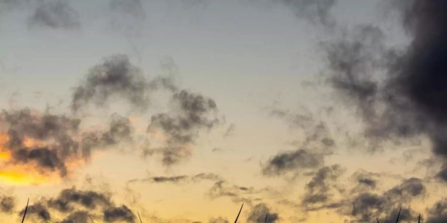 Dunkle Wolken ziehen vor einem orange gefärbtem Himmel über Windräder hinweg. Foto: Moritz Frankenberg/dpa