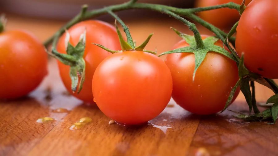 Frische Tomaten