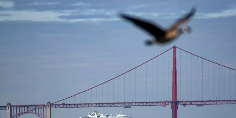 Die «Grand Princess»