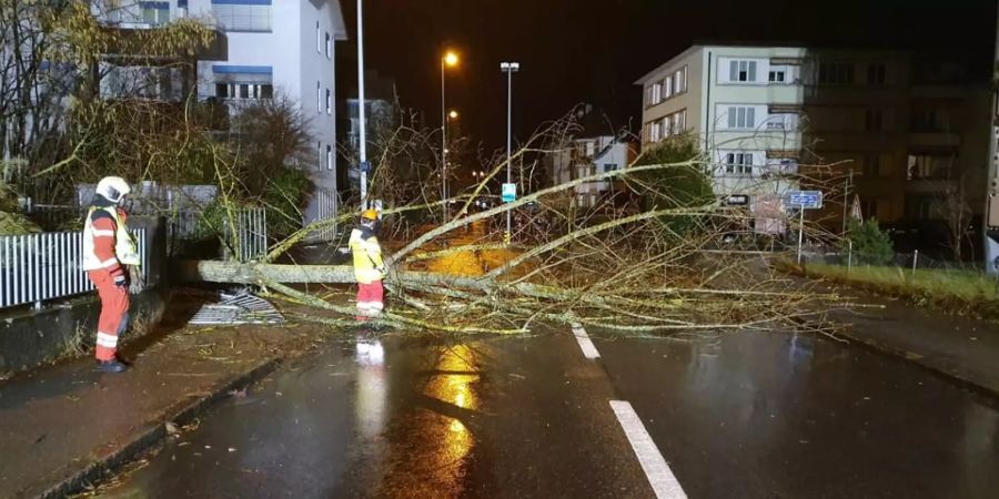 Ein umgestürzter Baum sorgte auch in Dübendorf ZH für Verkehrschaos.