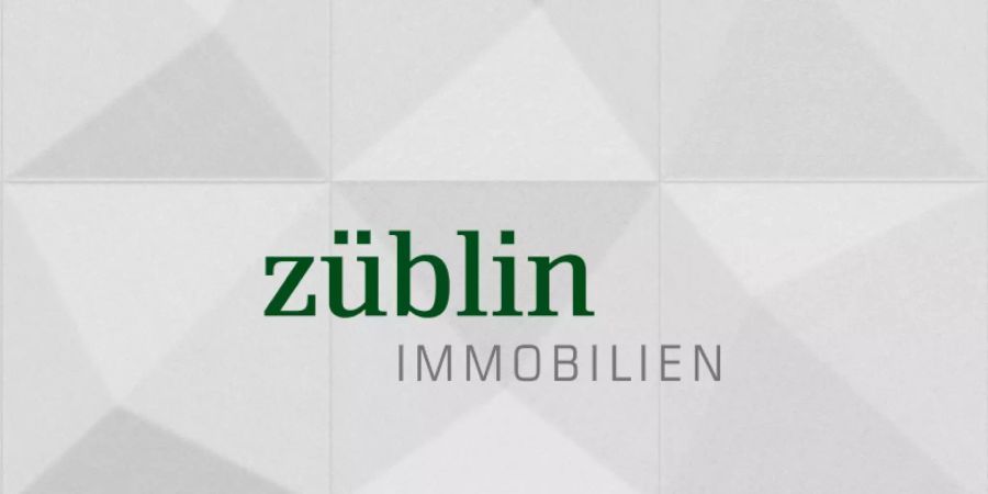Züblin Immobilien Holding AG