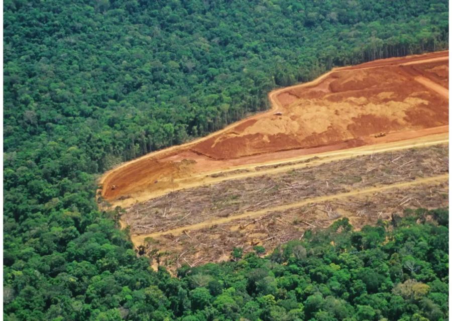 Immer noch werden riesige Waldgebiete zerstört, wie hier im Amazonas-Regenwald in Brasilien. Bild: iStock