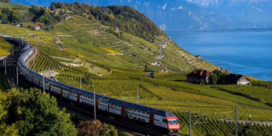 Im SBB-Regionalzug nach Bourg-en-Lavaux griffen zwei Jugendliche mehrere Passagiere und den Lokführer an.