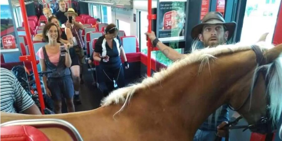 Ein Foto des Mannes mit seinem Pferd im Zug.