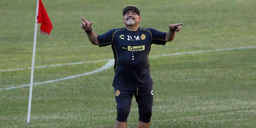 Argentiniens Fussball-Legende Diego Maradona tanzt im Dorados de Sinaloa Stadion, nachdem er als neuer Trainer des Fussball-Zweitligisten Dorados de Sinaloa vorgestellt wurde.