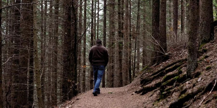 Heute sollte besser auf den Sonntags-Spaziergang im Wald verzichtet werden.