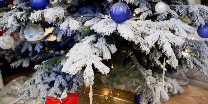 Weihnachtsbaum (Symboldbild) Weihnachtsbaum (Symboldbild)