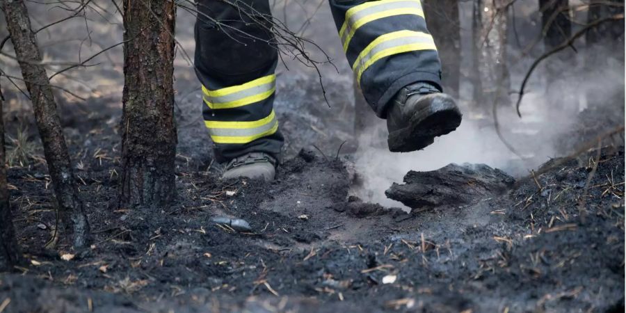 Ein Feuerwehrmann tritt in einem Waldstück ein Brandnest aus.