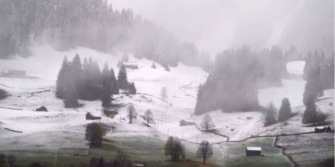 Weisses Erwachen - Jetzt kommt der Schnee!