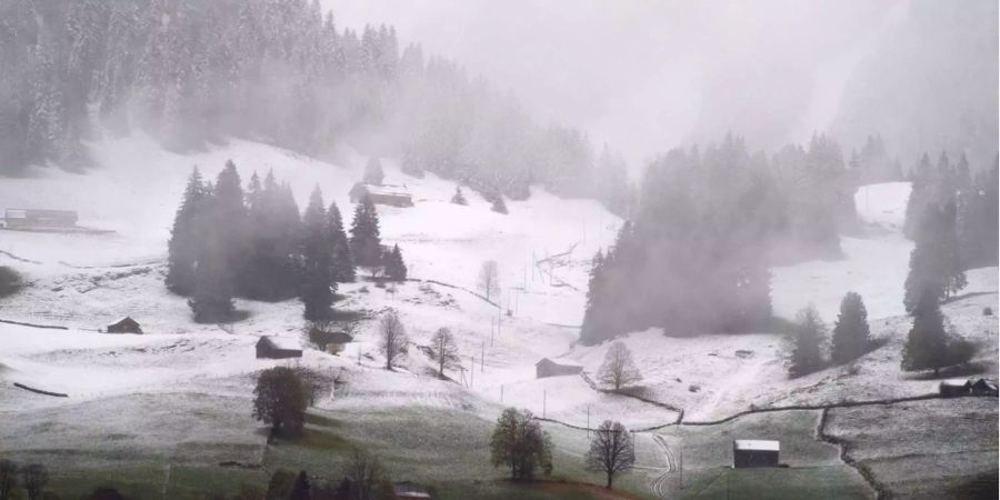 Am Wochenende kommt der Schnee.