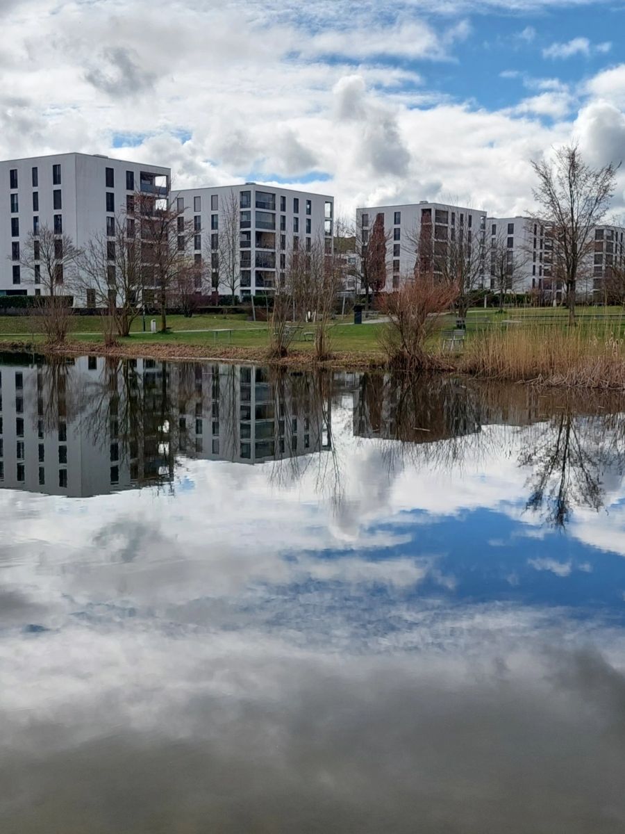 Gleich nebenan gibt es viel Grün und einen Teich.