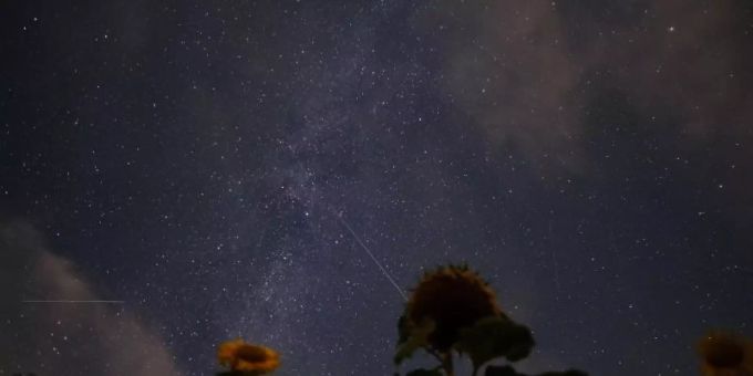 Shooting stars of the Perseids can be seen in the night sky along the Milky Way in 2020.  Photo: Ole Spata / dpa