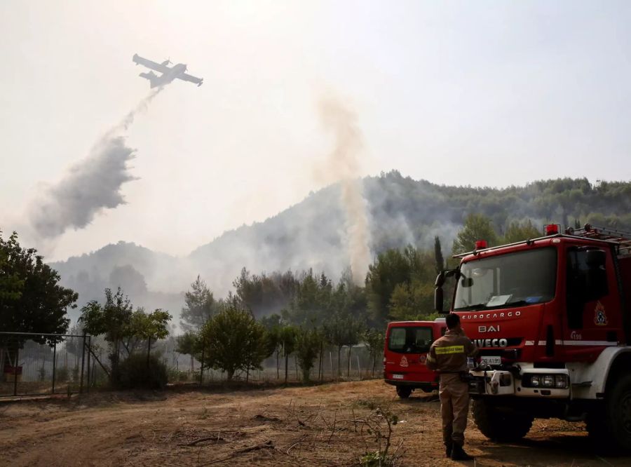 Mit Löschflugzeugen und hohem Feuerwehraufgebot will Griechenland Herr der Lage werden.