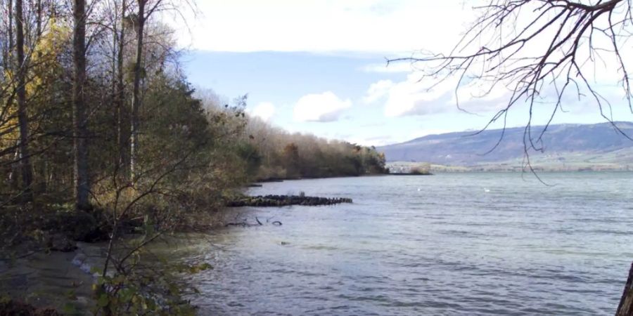 In einem sumpfigen Gebiet am Ufer des Neuenburgersees wurde die junge Genferin im Novemer 2017 tot aufgefunden. (Archivbild)