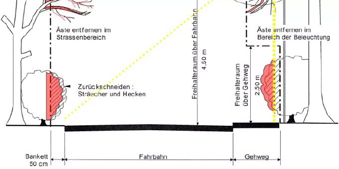 Zurückschneiden von Bäumen und Sträuchern