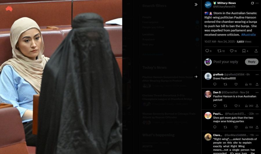 Hanson griff zu der Aktion, nachdem ihr zuvor nicht erlaubt worden war, einen entsprechenden Gesetzesentwurf einzubringen.