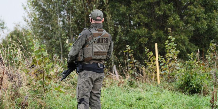 Estland Armee