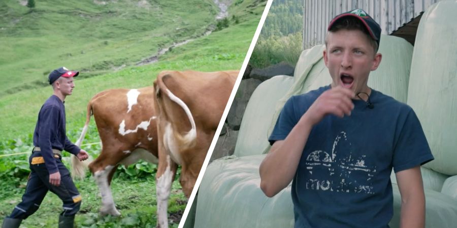 Screenshot SRF «Reporter»