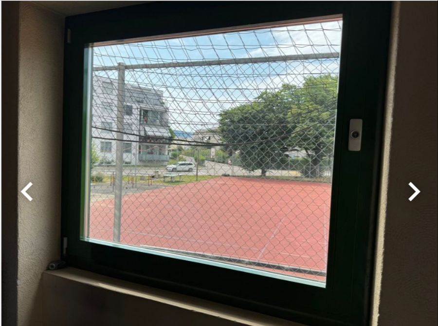 Fenster Primarschule Dübendorf